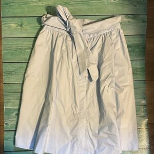 Club Monaco Light Blue A-Line Skirt